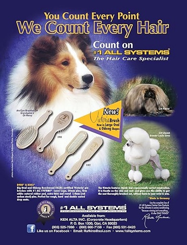 All Systems - Victoria 20mm Large Oval Pin Brush D908