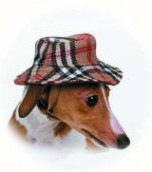 London Dog Burberry Style Pet Hat