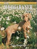 Weimaraner Today BOB