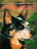 Australian Cattle Dog BOB