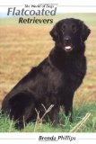 Flatcoated Retrievers - World of