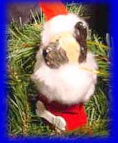 Velvet Christmas Tree Stocking - Sky-Terrier